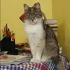Отзыв от Александра Гуляева